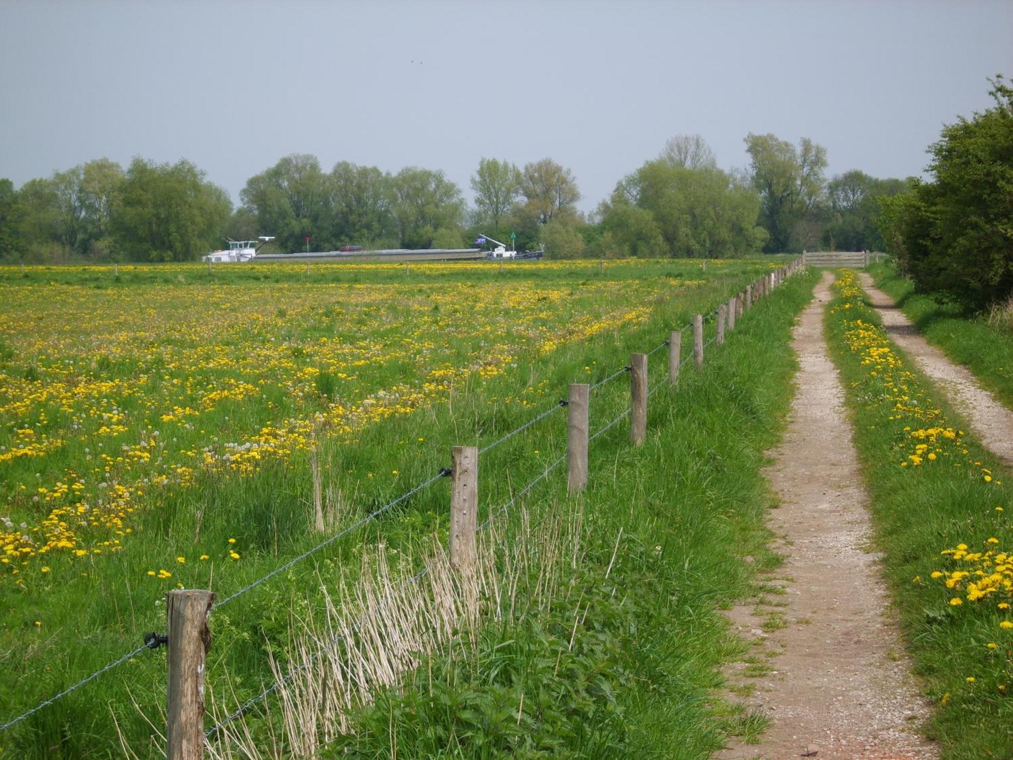 'T Kruushuus Vila Welsum Exterior foto
